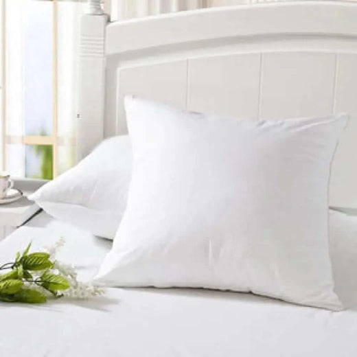 Vacuum Packed  2 Cushions