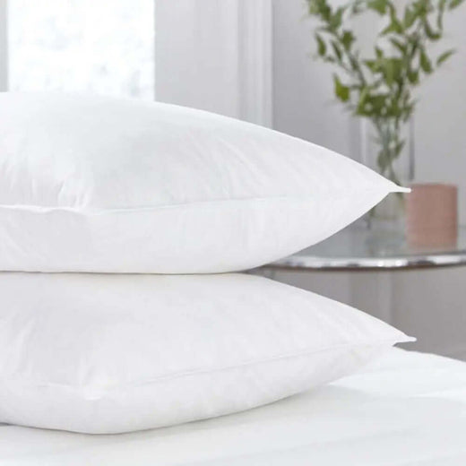 Vacuum Packed  2 Pillows VP-005