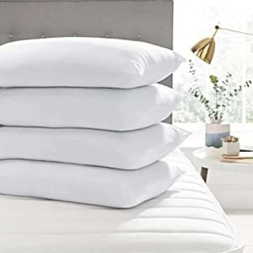 Vacuum Packed  4 Pillows VP-002